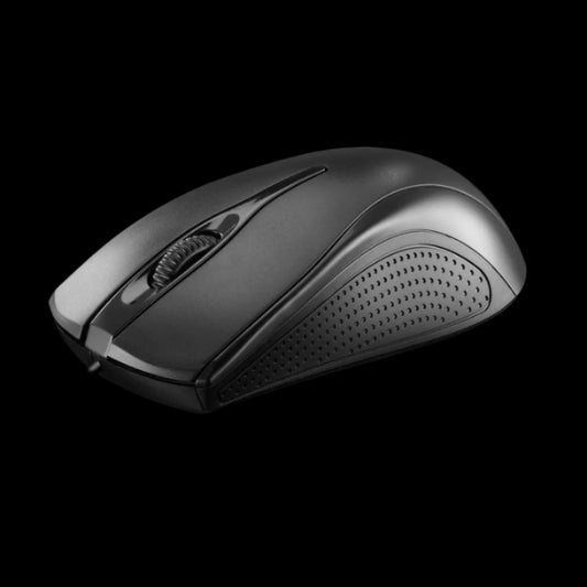 Black computer mouse on a white background